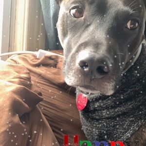 Meet your Posher, Ruth